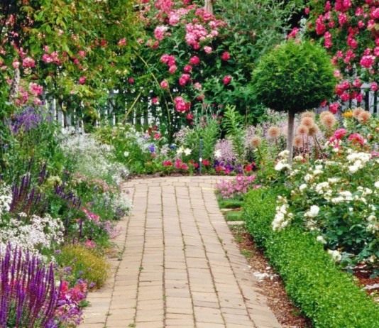 Растения-цветотерапевты для особых уголков сада - Цветы многолетние Цветник в саду