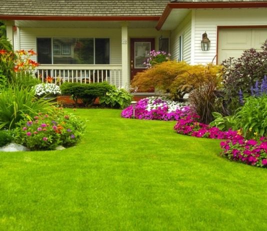 Создание идеального газона - Цветник и ландшафт Создание идеального газона