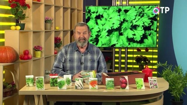 Николай Фурсов. Кандидат сельскохозяйственных наук