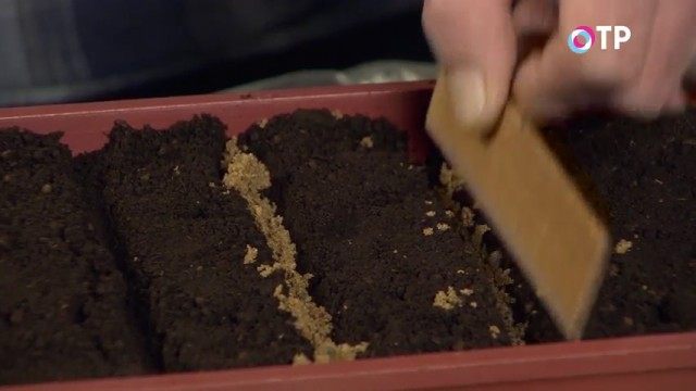Реечкой уплотняем песочек