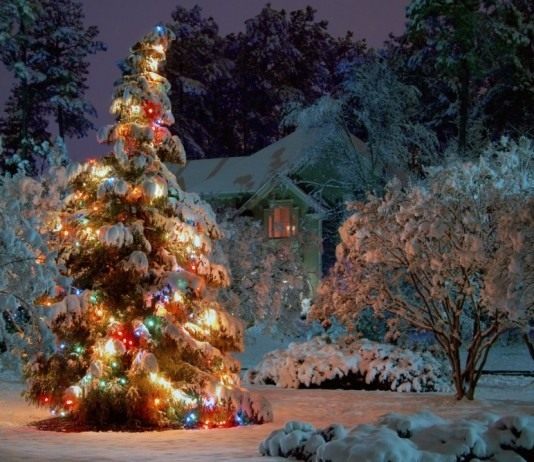 Украшение сада на новогодние праздники