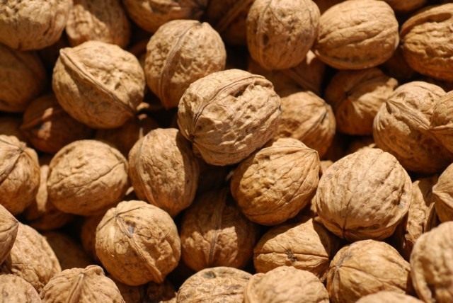 Орех грецкий (Juglans regia) Орех грецкий (Juglans regia)