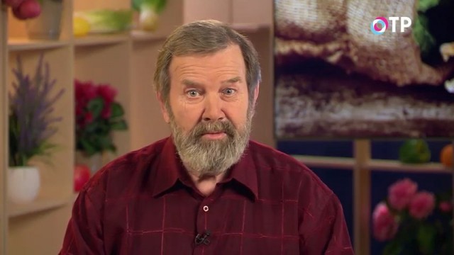 Кандидат сельскохозяйственных наук Николай Петрович Фурсов рассказывает о том, как выбрать семена огурцов для выращивания на дачном участке