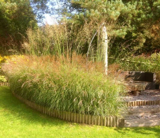 Изгородь из злаков, ограждающих зону отдыха