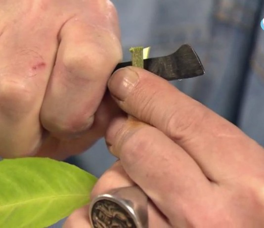 На подвое делаем разрез в расщеп