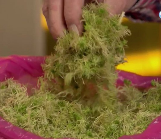 Для стратификации можно использовать мох