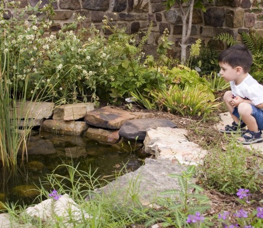 Как сделать пруд безопасным для детей? - Цветник и ландшафт Ребёнок возле незащищённого пруда на участке