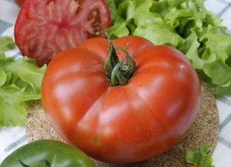 Для каждого вида томатов – свое кулинарное назначение - Блоги компаний Масса плодов томатов из серии «Великие» может достигать 500 г.