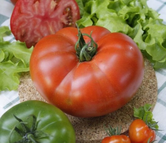 Масса плодов томатов из серии «Великие» может достигать 500 г.