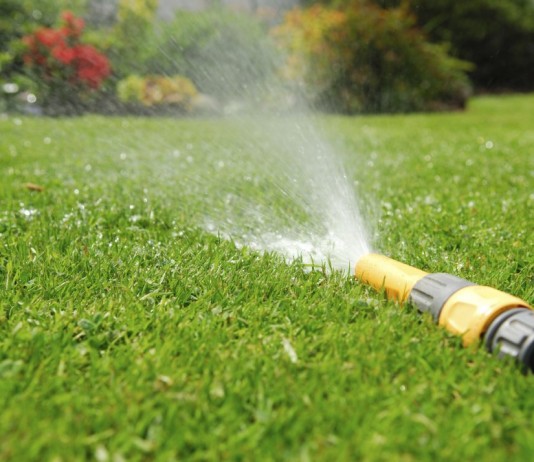 Полив, подкормки и проветривание газона - Цветник и ландшафт Полив газона