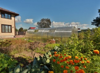 Теплицы «Кремлёвская» и «Богатырь» - Блоги компаний Теплица «Кремлёвская»