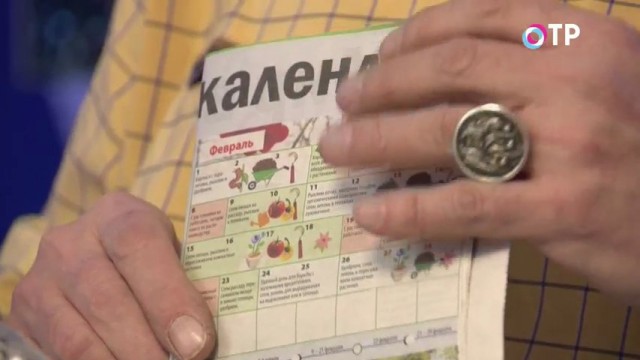 Календарь работ для дачников