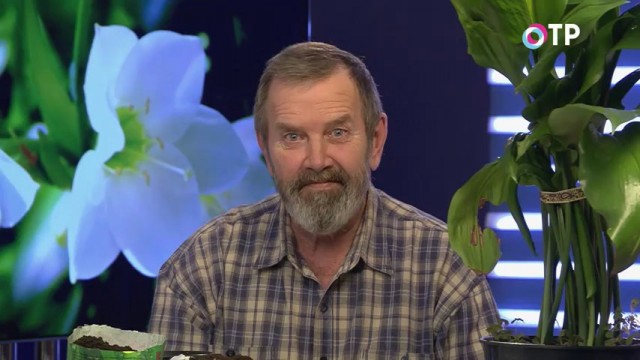 Кандидат сельскохозяйственных наук Николай Петрович Фурсов