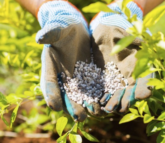 Внесение минеральных удобрений. © michaeljung