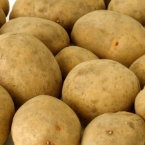 Сорт картофеля для Нижневолжского региона - Ярла Сорт картофеля для Нижневолжского региона - Ярла