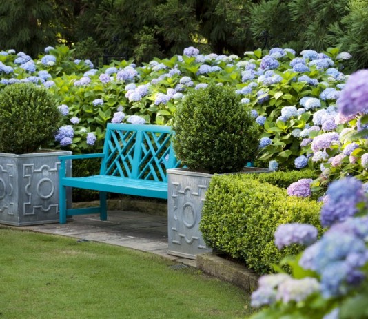 Цветник из гортензий вокруг скамейки