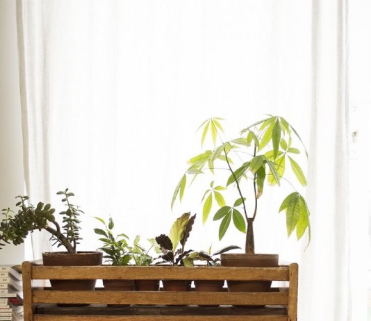 Цветочница-ящик для комнатных растений