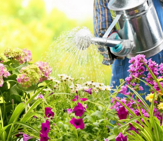 Полив цветника