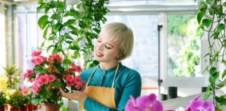 Специализированный магазин комнатных растений
