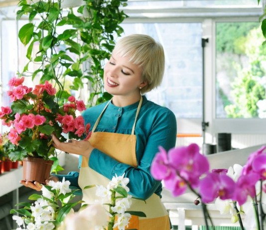 Специализированный магазин комнатных растений