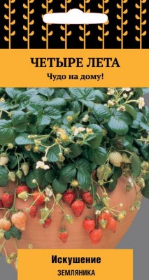 Семена земляники Искушение из серии Четыре сезона, для выращивания дома Семена земляники Искушение из серии Четыре сезона, для выращивания дома