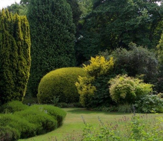 Оформление сада с акцентом на деревья, кустарники и хвойные - Цветник и ландшафт Участок сада с преобладанием в оформлении кустарников и деревьев хвойных и лиственных пород