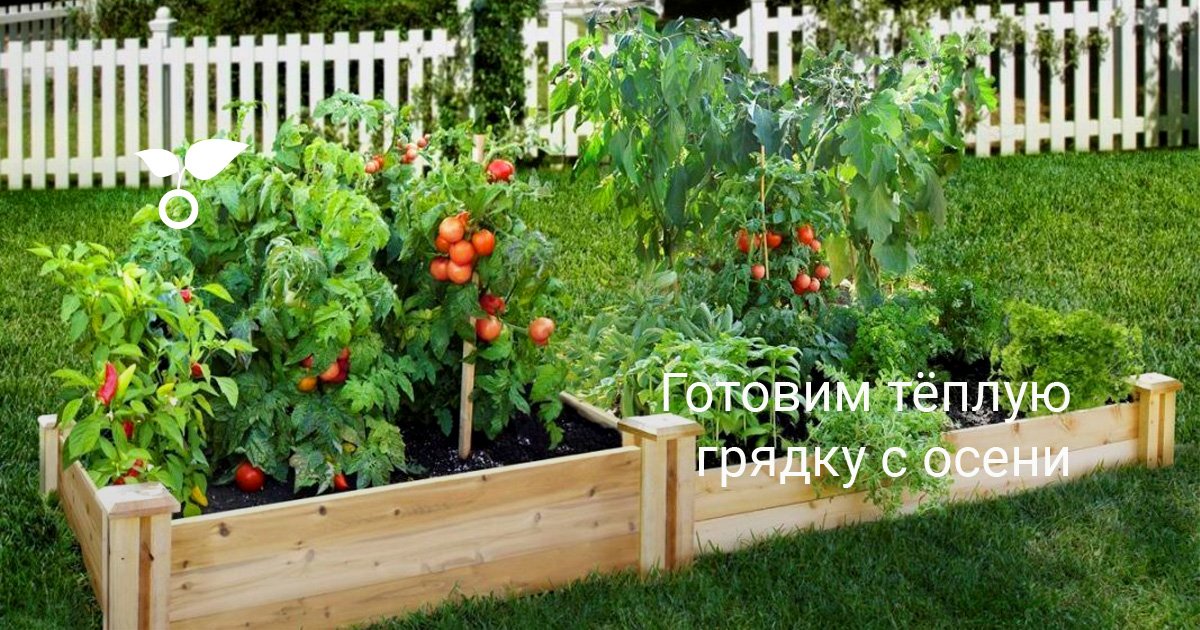 Готовим тёплую грядку с осени