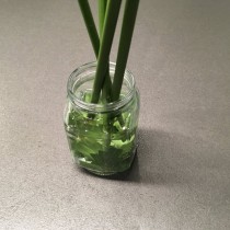 Ставим в емкость с водой макушками вниз