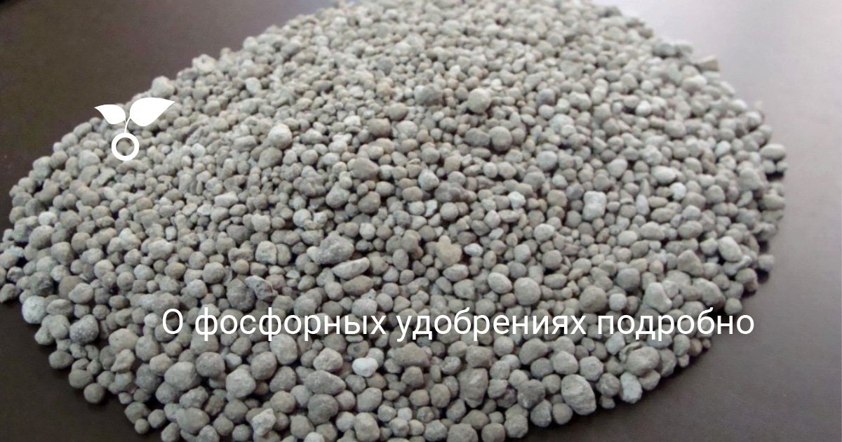 О фосфорных удобрениях подробно