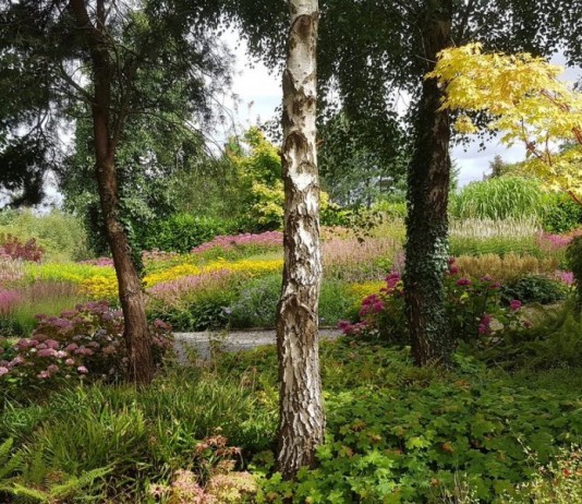 Участок, оформленный в лесном стиле