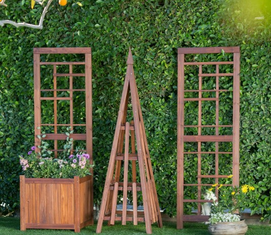 Выбор опоры для вьющихся растений