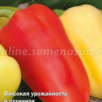 Перец сладкий сорт «Белогор»