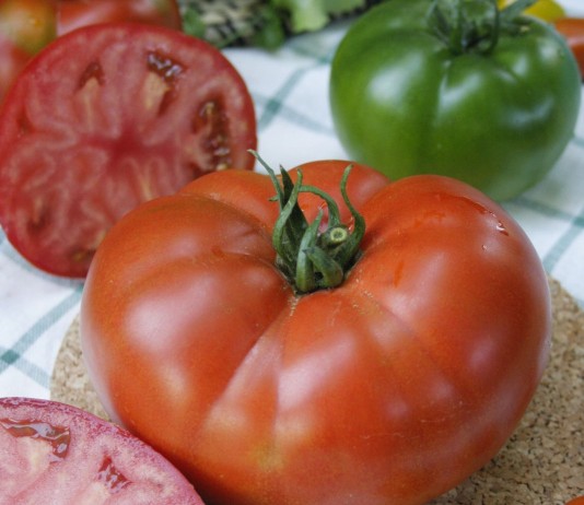 Томат сорта «Александр Великий F1»