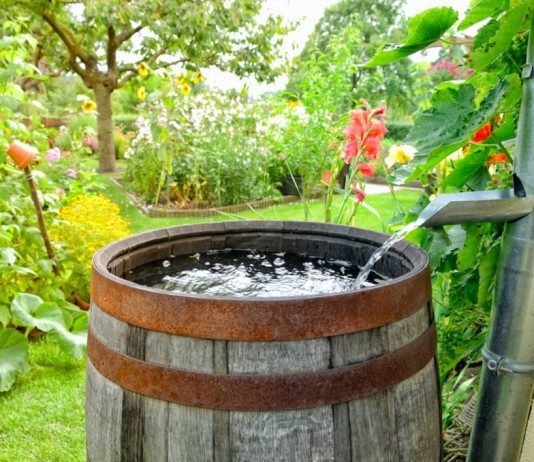 Экоидеи для сада