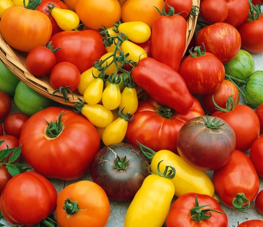 Лучшие сорта томатов для любой погоды - Агрофирма АЭЛИТА Сорта томатов селекции агрофирмы Аэлита