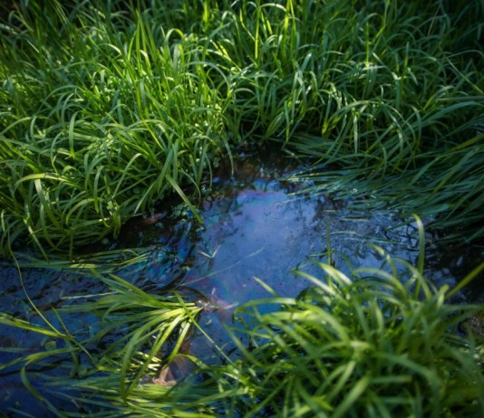 Участок с высокими грунтовыми водами