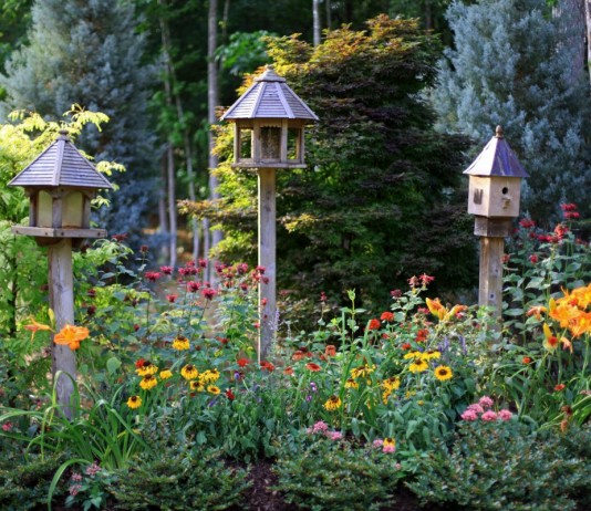 Цветник для птиц