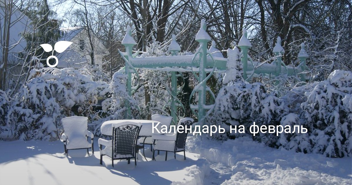 Календарь на февраль — Ботаничка
