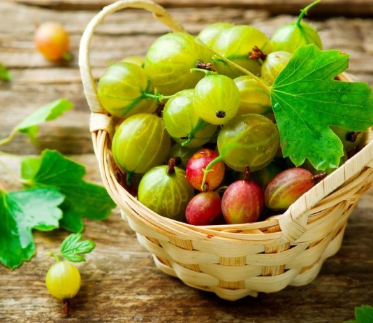 Ягоды крыжовника различных сортов