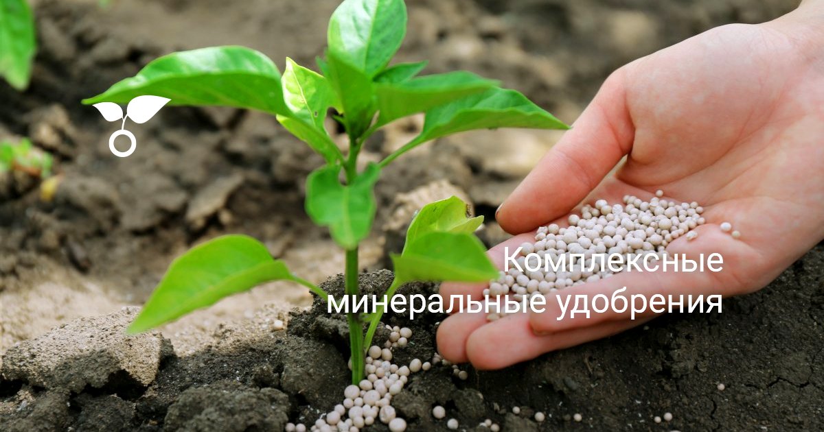 Комплексные минеральные удобрения