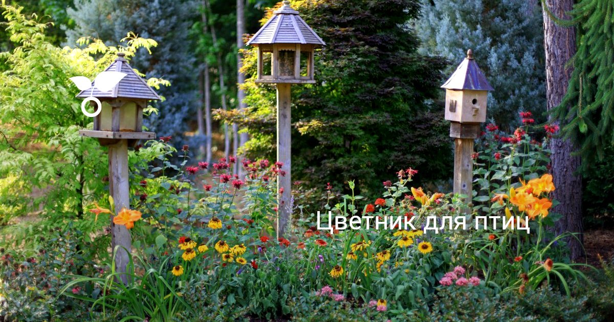 Цветник для птиц