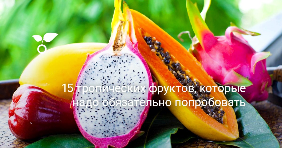 15 тропических фруктов, которые надо обязательно попробовать