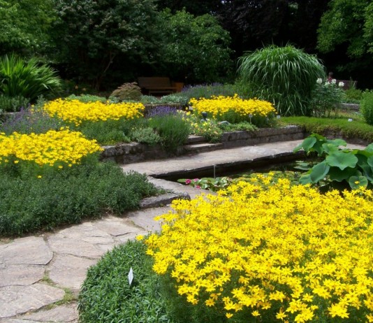 Ритмические приемы в оформлении цветников