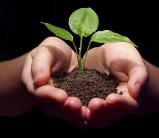 Почему так важно повышать плодородие почвы?