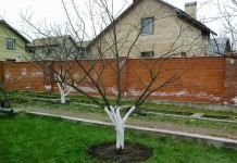 Весенний уход за садом