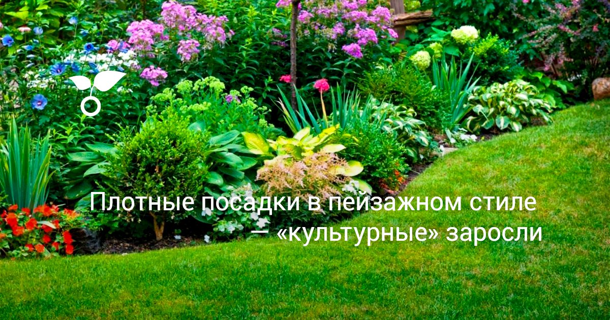 Плотные посадки в пейзажном стиле — «культурные» заросли