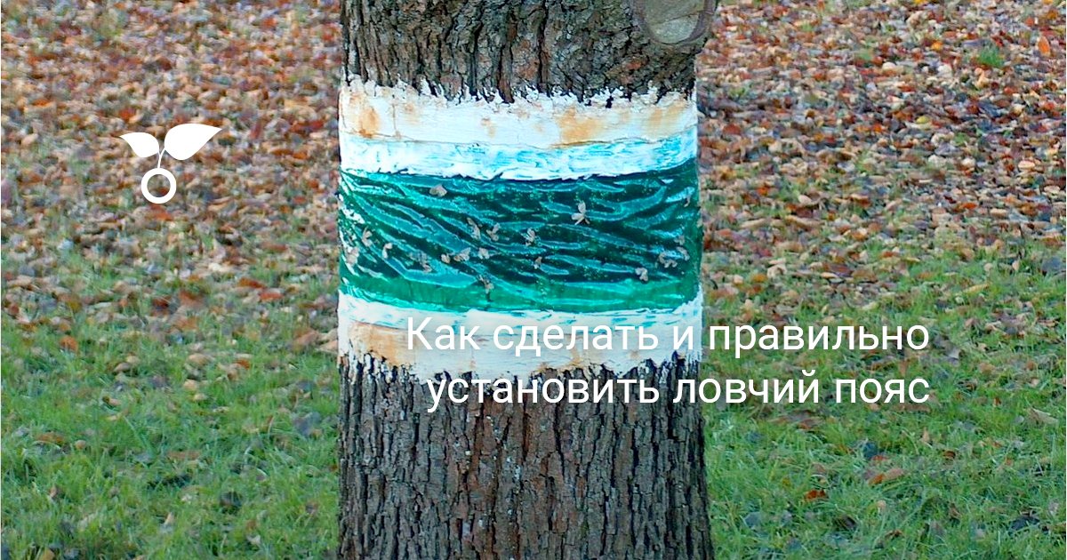 Как сделать и правильно установить ловчий пояс