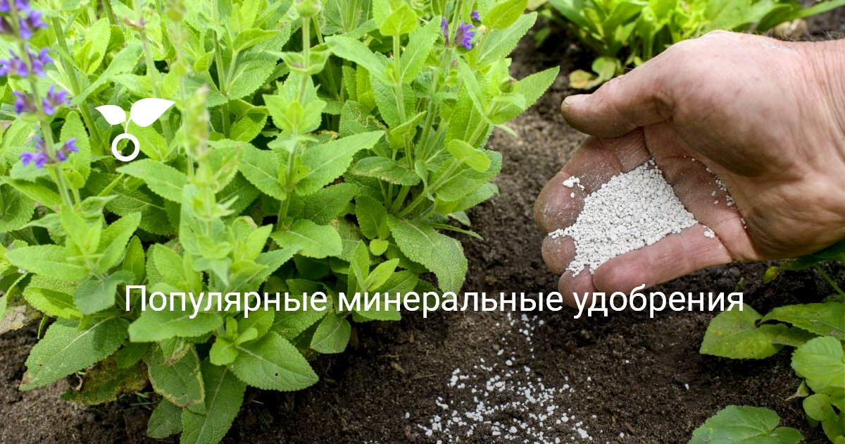 Популярные минеральные удобрения