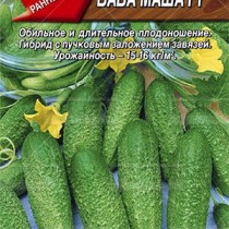 Огурец Баба Маша