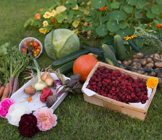 Биологическая защита растений и урожая